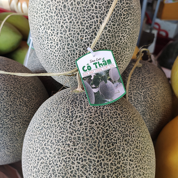 Dưa lưới xanh Nhật